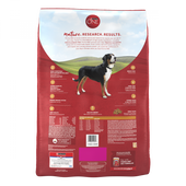 Purina ONE SmartBlend Chicken & Rice Dry Dog Food