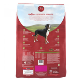 Purina ONE SmartBlend Lamb & Rice Dry Dog Food