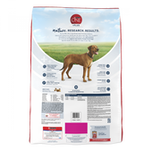 Purina ONE SmartBlend Large Breed Adult Dry Dog Food