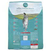 Purina ONE Tender Selects Blend Real Salmon Dry Cat Food