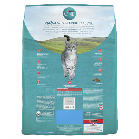 Purina ONE Tender Selects Blend Real Salmon Dry Cat Food