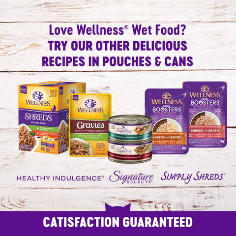 Wellness Healthy Indulgence Natural Grain Free Morsels with Chicken and Salmon in Savory Sauce Cat Food Pouch