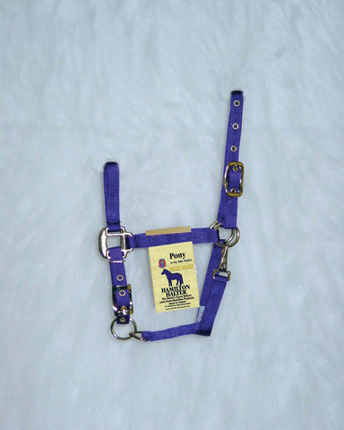 Hamilton Halter Company - Adjustable Chin Horse Halter With Snap