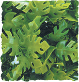 Zoo Med Laboratories Inc - Natural Bush Amazonian Phyllo Plant