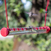 Woodstream Hummingbird - 22-port Hummerbar Hummingbird Feeder (Case of 9 )