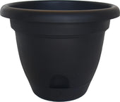 Lucca Planter