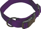 Adjustable Dog Collar